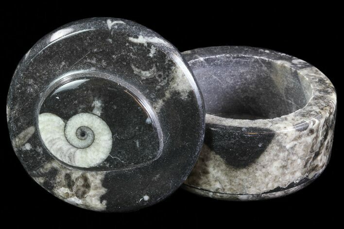 Small Fossil Goniatite Jar (Black) - Stoneware #66596